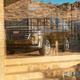 Illustration for article titled The 2021 Cadillac Escalade starts at $77,490;$80,490 for ESV